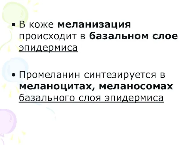 В коже меланизация происходит в базальном слое эпидермиса Промеланин синтезируется в меланоцитах, меланосомах базального слоя эпидермиса