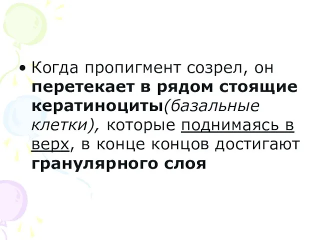 Когда пропигмент созрел, он перетекает в рядом стоящие кератиноциты(базальные клетки), которые