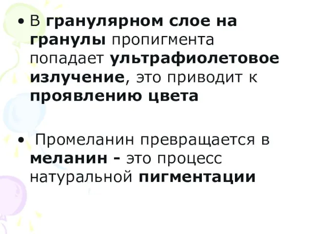 В гранулярном слое на гранулы пропигмента попадает ультрафиолетовое излучение, это приводит