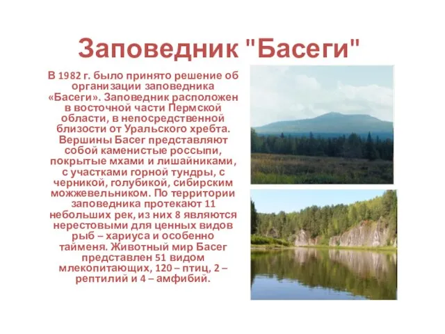 Заповедник "Басеги" В 1982 г. было принято решение об организации заповедника