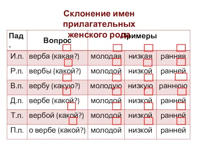 Склонение имен прилагательных женского рода