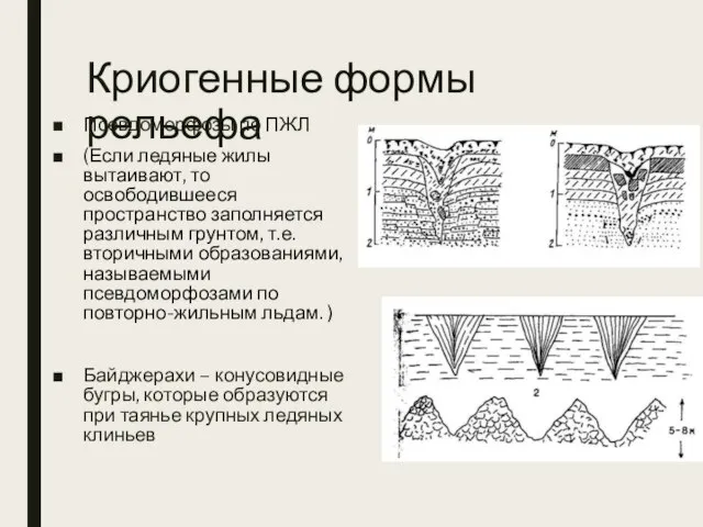 Криогенные формы рельефа Псевдоморфозы по ПЖЛ (Если ледяные жилы вытаивают, то