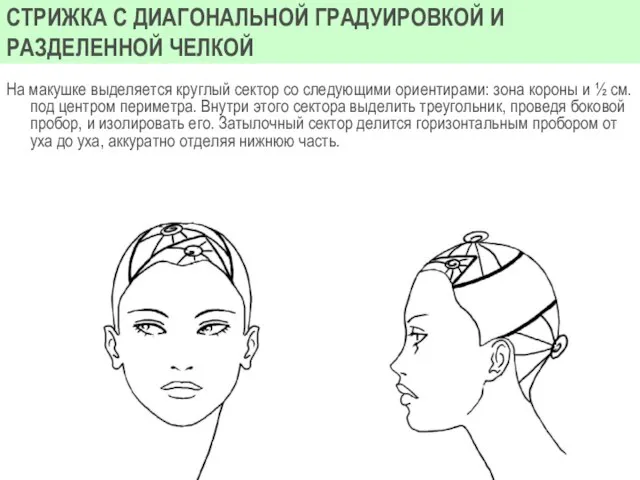 СТРИЖКА С ДИАГОНАЛЬНОЙ ГРАДУИРОВКОЙ И РАЗДЕЛЕННОЙ ЧЕЛКОЙ На макушке выделяется круглый