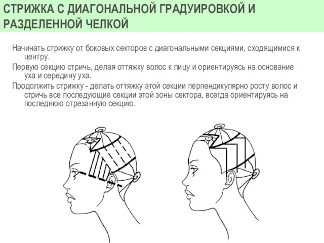 Начинать стрижку от боковых секторов с диагональными секциями, сходящимися к центру.