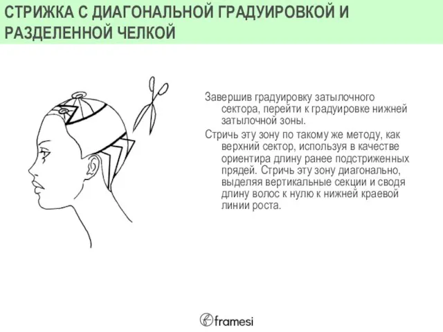 Завершив градуировку затылочного сектора, перейти к градуировке нижней затылочной зоны. Стричь