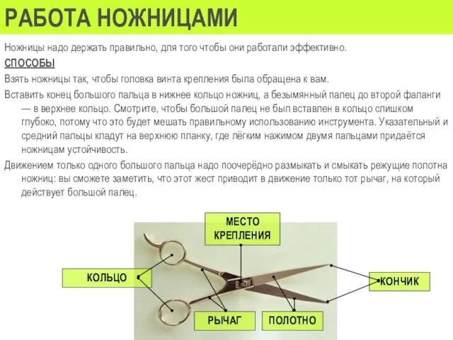 РАБОТА НОЖНИЦАМИ Ножницы надо держать правильно, для того чтобы они работали