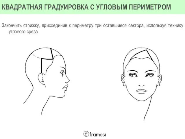 Закончить стрижку, присоединив к периметру три оставшиеся сектора, используя технику углового