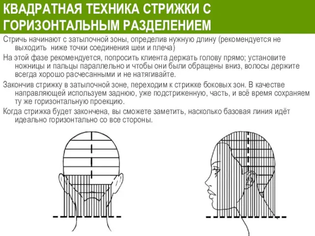 КВАДРАТНАЯ ТЕХНИКА СТРИЖКИ С ГОРИЗОНТАЛЬНЫМ РАЗДЕЛЕНИЕМ Стричь начинают с затылочной зоны,