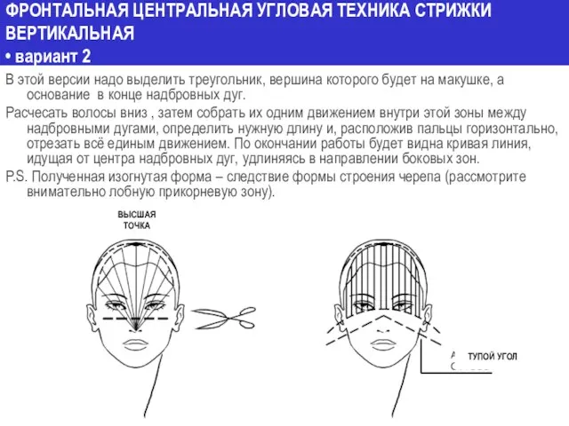 ФРОНТАЛЬНАЯ ЦЕНТРАЛЬНАЯ УГЛОВАЯ ТЕХНИКА СТРИЖКИ ВЕРТИКАЛЬНАЯ • вариант 2 В этой