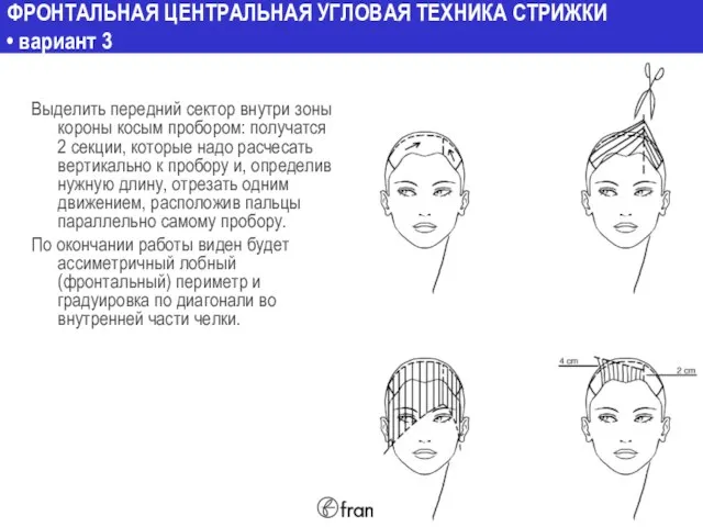 ФРОНТАЛЬНАЯ ЦЕНТРАЛЬНАЯ УГЛОВАЯ ТЕХНИКА СТРИЖКИ • вариант 3 Выделить передний сектор