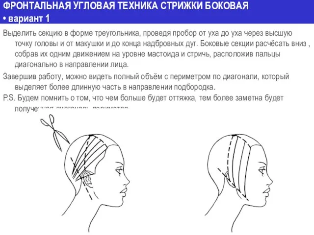 ФРОНТАЛЬНАЯ УГЛОВАЯ ТЕХНИКА СТРИЖКИ БОКОВАЯ • вариант 1 Выделить секцию в