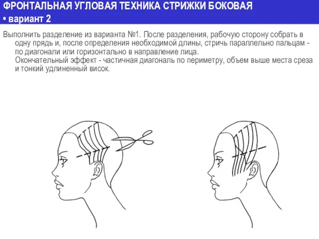 ФРОНТАЛЬНАЯ УГЛОВАЯ ТЕХНИКА СТРИЖКИ БОКОВАЯ • вариант 2 Выполнить разделение из