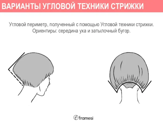 Угловой периметр, полученный с помощью Угловой техники стрижки. Ориентиры: середина уха