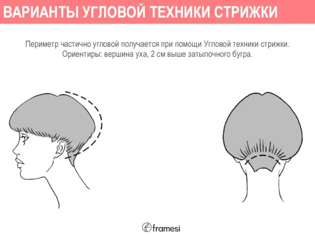 Периметр частично угловой получается при помощи Угловой техники стрижки. Ориентиры: вершина