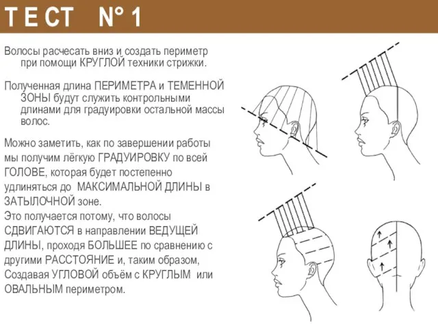 T E СТ N° 1 Волосы расчесать вниз и создать периметр