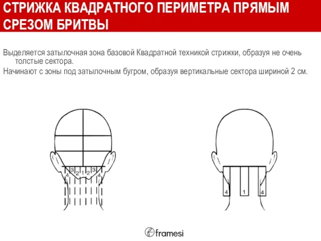 СТРИЖКА КВАДРАТНОГО ПЕРИМЕТРА ПРЯМЫМ СРЕЗОМ БРИТВЫ Выделяется затылочная зона базовой Квадратной