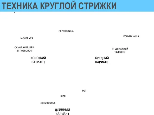 ТЕХНИКА КРУГЛОЙ СТРИЖКИ ШЕЯ ОСНОВАНИЕ ШЕИ 2й ПОЗВОНОК КОРОТКИЙ ВАРИАНТ ПЕРЕНОСИЦА