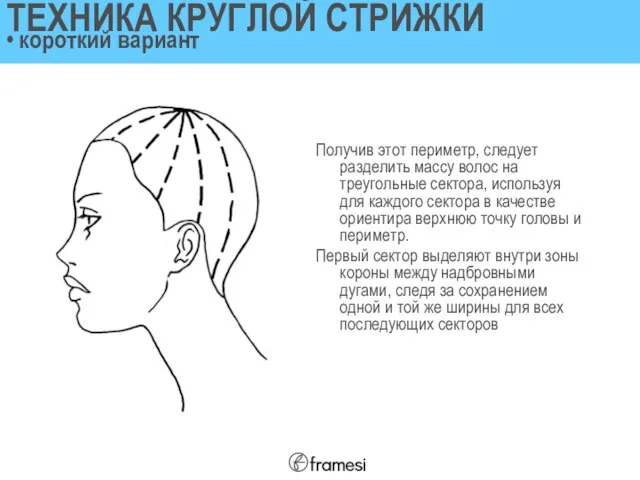 ТЕХНИКА КРУГЛОЙ СТРИЖКИ • короткий вариант Получив этот периметр, следует разделить