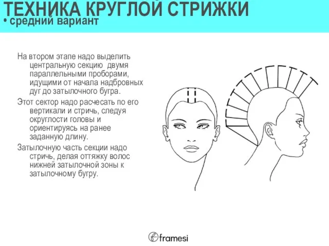 На втором этапе надо выделить центральную секцию двумя параллельными проборами, идущими