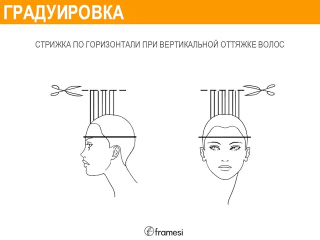 ГРАДУИРОВКА СТРИЖКА ПО ГОРИЗОНТАЛИ ПРИ ВЕРТИКАЛЬНОЙ ОТТЯЖКЕ ВОЛОС