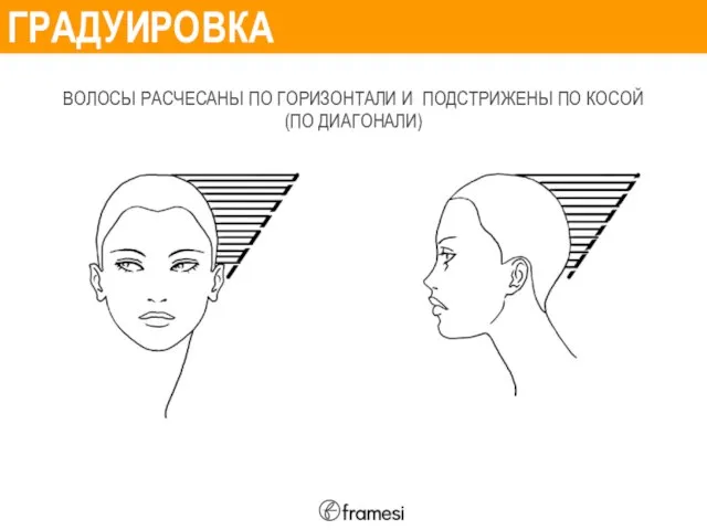 ГРАДУИРОВКА ВОЛОСЫ РАСЧЕСАНЫ ПО ГОРИЗОНТАЛИ И ПОДСТРИЖЕНЫ ПО КОСОЙ (ПО ДИАГОНАЛИ)