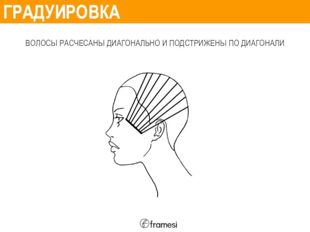 ГРАДУИРОВКА ВОЛОСЫ РАСЧЕСАНЫ ДИАГОНАЛЬНО И ПОДСТРИЖЕНЫ ПО ДИАГОНАЛИ