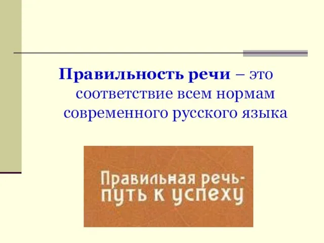 Правильность речи – это соответствие всем нормам современного русского языка