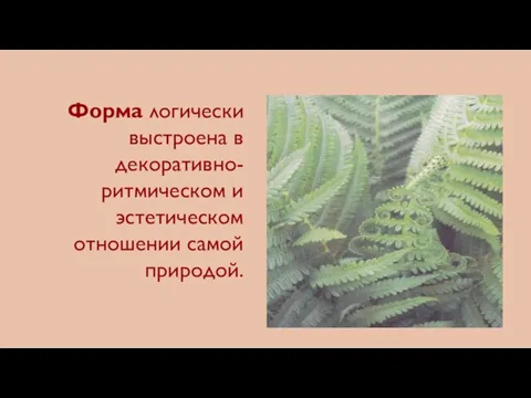 Форма логически выстроена в декоративно- ритмическом и эстетическом отношении самой природой.