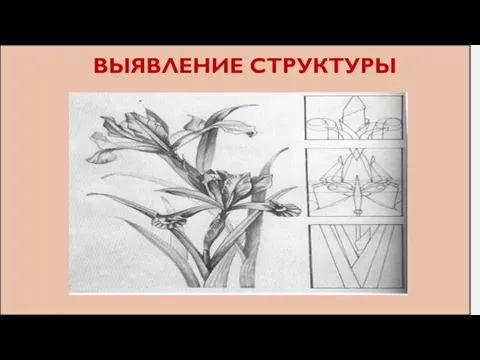 ВЫЯВЛЕНИЕ СТРУКТУРЫ