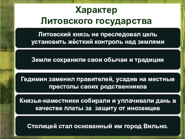 Литовский князь не преследовал цель установить жёсткий контроль над землями Земли