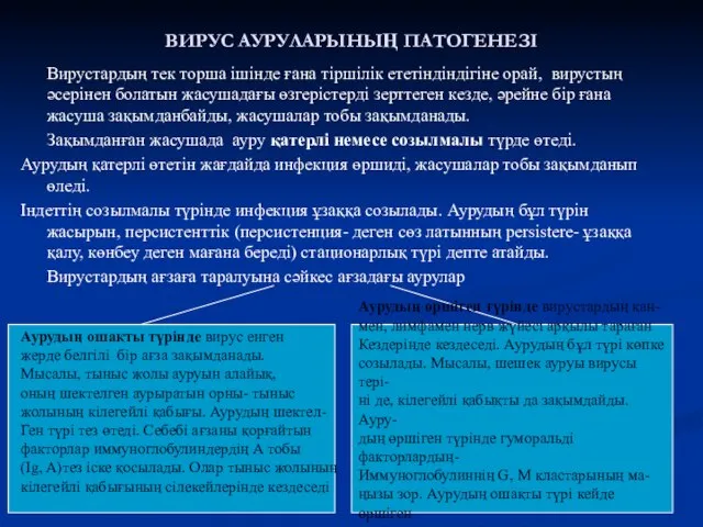 ВИРУС АУРУЛАРЫНЫҢ ПАТОГЕНЕЗІ Вирустардың тек торша ішінде ғана тіршілік ететіндіндігіне орай,