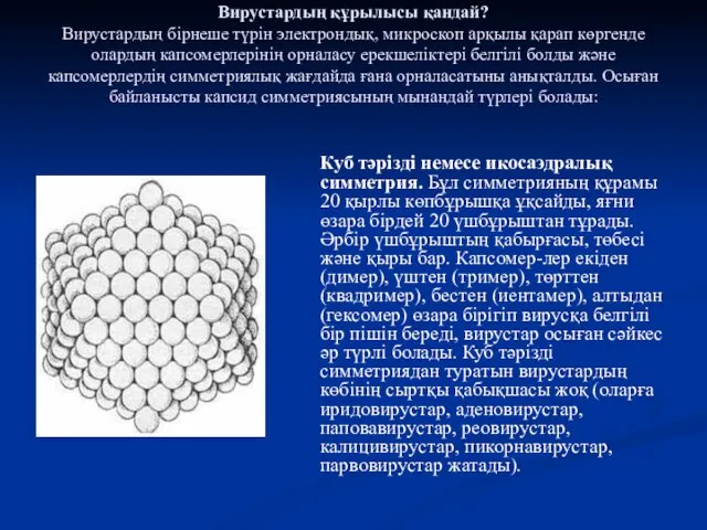 Вирустардың құрылысы қандай? Вирустардың бірнеше түрін электрондық, микроскоп арқылы қарап көргенде