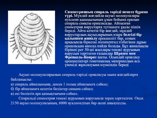 Ақуыз молекулаларының спираль тәрізді орналасуы мына жағдайларға байланысты: а) спираль айналымына,