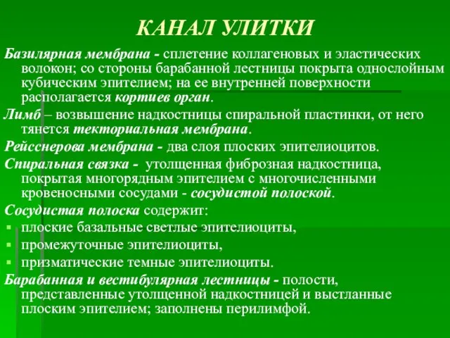 КАНАЛ УЛИТКИ Базилярная мембрана - сплетение коллагеновых и эластических волокон; со