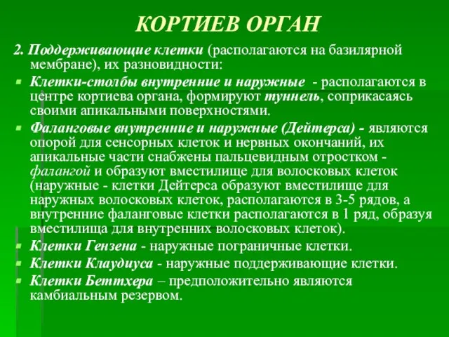 КОРТИЕВ ОРГАН 2. Поддерживающие клетки (располагаются на базилярной мембране), их разновидности: