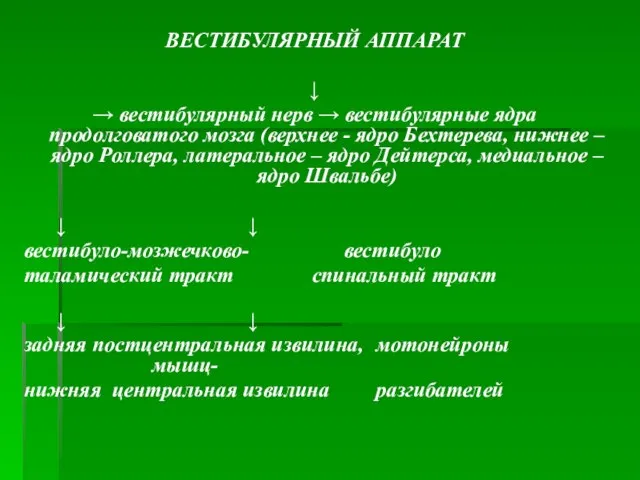 ВЕСТИБУЛЯРНЫЙ АППАРАТ ↓ → вестибулярный нерв → вестибулярные ядра продолговатого мозга