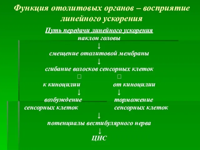 Путь передачи линейного ускорения наклон головы ↓ смещение отолитовой мембраны ↓