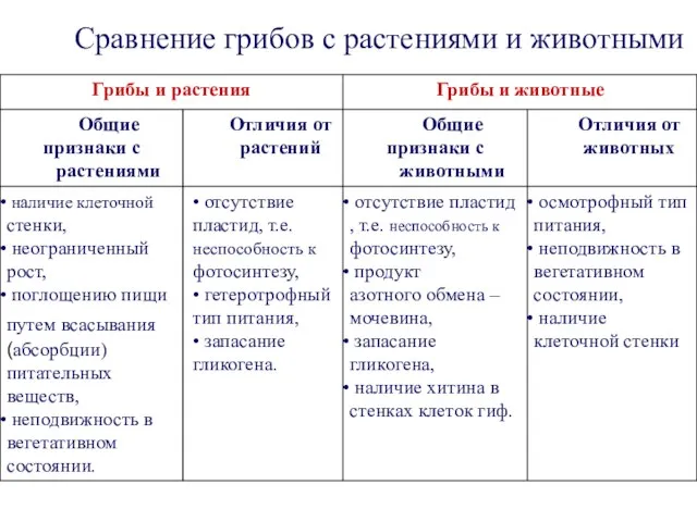 Сравнение грибов с растениями и животными