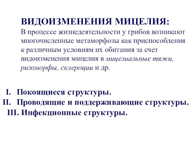 ВИДОИЗМЕНЕНИЯ МИЦЕЛИЯ: В процессе жизнедеятельности у грибов возникают многочисленные метаморфозы как