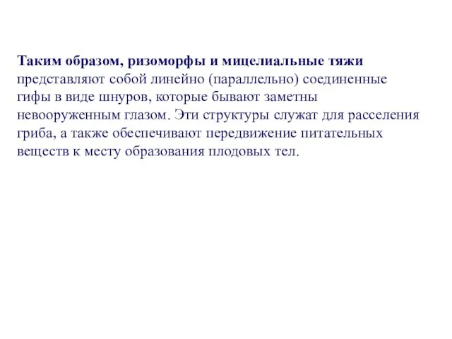 Таким образом, ризоморфы и мицелиальные тяжи представляют собой линейно (параллельно) соединенные