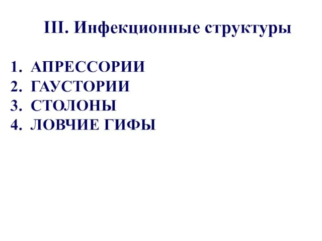 III. Инфекционные структуры АПРЕССОРИИ ГАУСТОРИИ СТОЛОНЫ ЛОВЧИЕ ГИФЫ