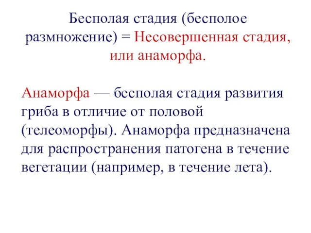 Бесполая стадия (бесполое размножение) = Несовершенная стадия, или анаморфа. Анаморфа —