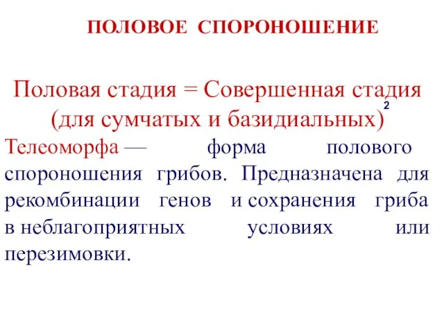 ПОЛОВОЕ СПОРОНОШЕНИЕ Половая стадия = Совершенная стадия (для сумчатых и базидиальных)