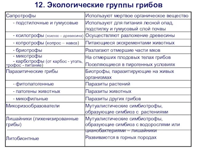 12. Экологические группы грибов