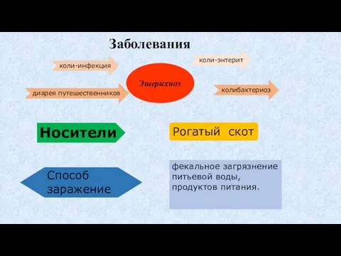 Заболевания Эшерихиоз коли-инфекция коли-энтерит колибактериоз диарея путешественников Рогатый скот Носители Способ