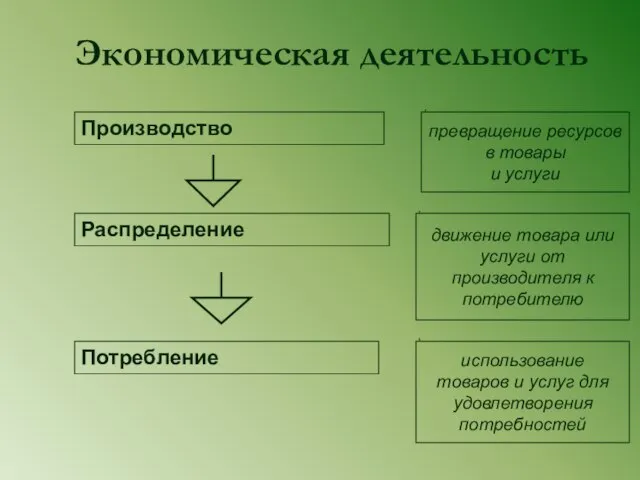 Экономическая деятельность Производство Распределение Потребление движение товара или услуги от производителя