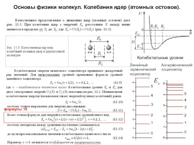 Основы физики молекул. Колебания ядер (атомных остовов). Колебательные уровни 0 1