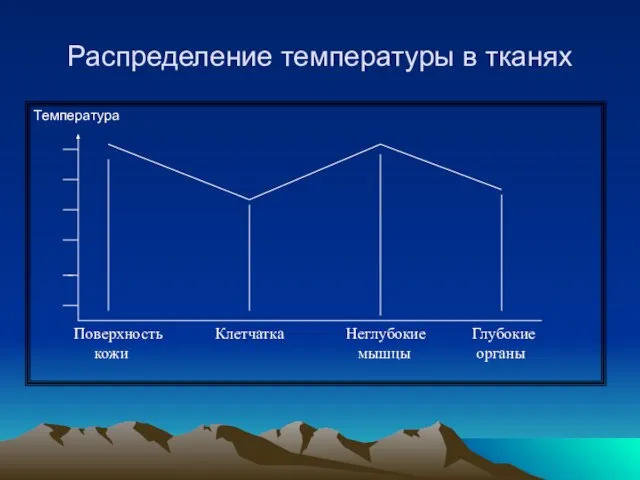 Распределение температуры в тканях Температура Поверхность кожи Клетчатка Неглубокие мышцы Глубокие органы