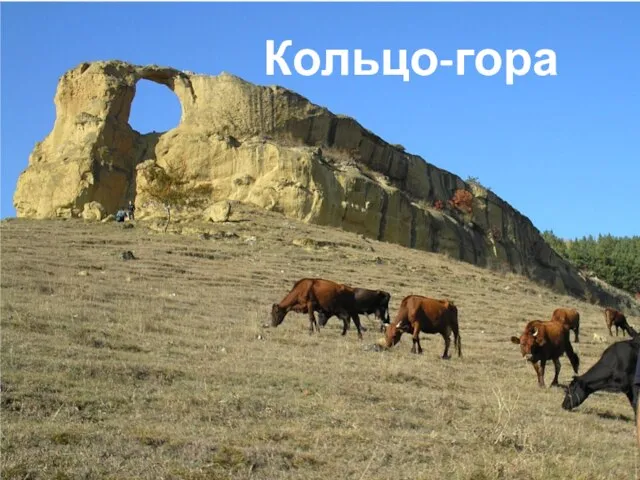 Кольцо-гора