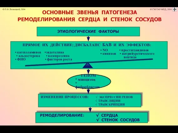 ОСНОВНЫЕ ЗВЕНЬЯ ПАТОГЕНЕЗА РЕМОДЕЛИРОВАНИЯ СЕРДЦА И СТЕНОК СОСУДОВ ЭТИОЛОГИЧЕСКИЕ ФАКТОРЫ ПРЯМОЕ